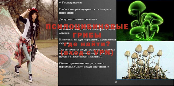 винт Богородицк