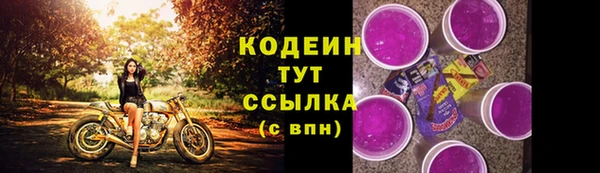 СК Богородск